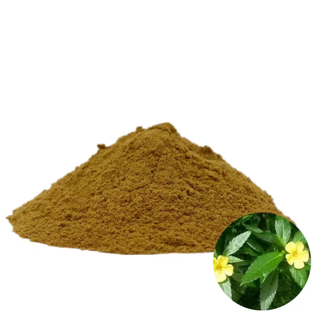 Лидер продаж растительный экстракт QINSHANTANG медицинские добавки Damiana Tea листьев порошок