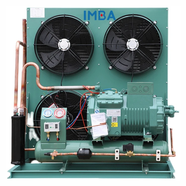 High quality custom remote type cold room refrigeration unit compressor chiller cold room cooler with air cool
