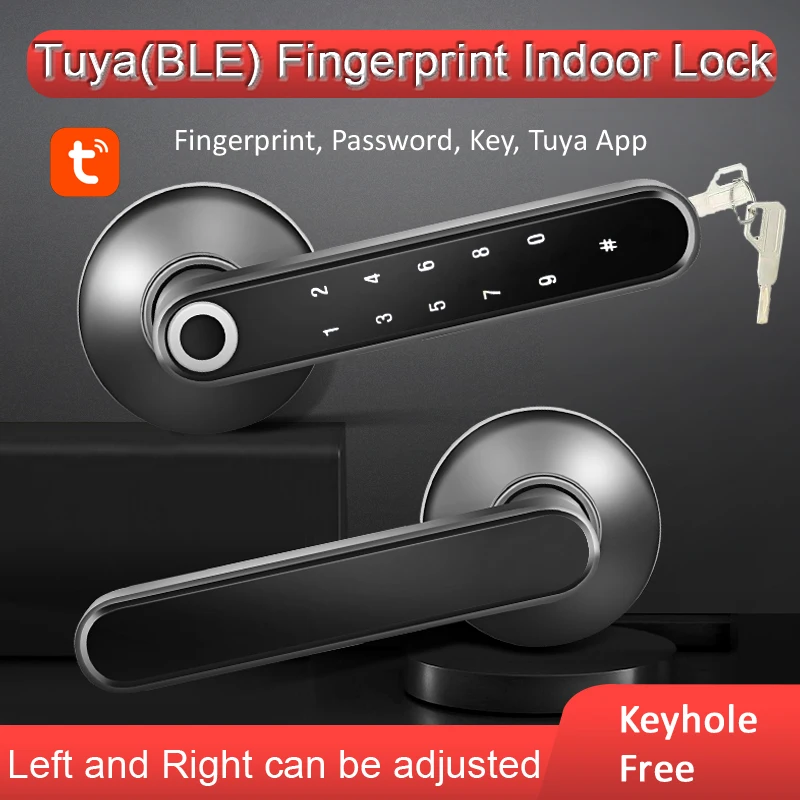 Factory Price Residence Smart Home Door Lock Tuya APP Biometric Fingerprint Password Key Room Door Lock