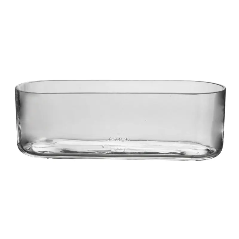 Handmade  Luxury Home Decoration Tabletop Long Different fleshiness Small Plant Oval Glass Vase