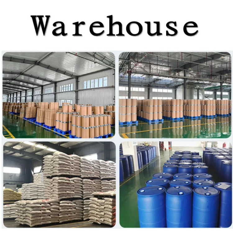 Factory Supply 100% Natural Ligusticum Chuanxiong Extract 99% Lovage Rhizoma Powder