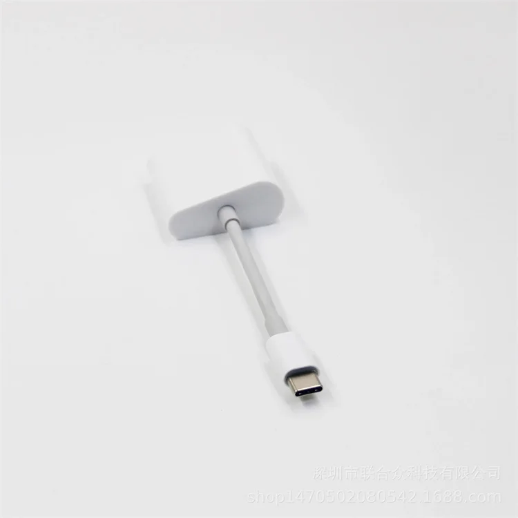2 Port 2 In 1 Type C HUb RJ45 Ethernet Lan Hub with Power Delivery Fast Charge for Macbook Pro and Other Type C Laptops