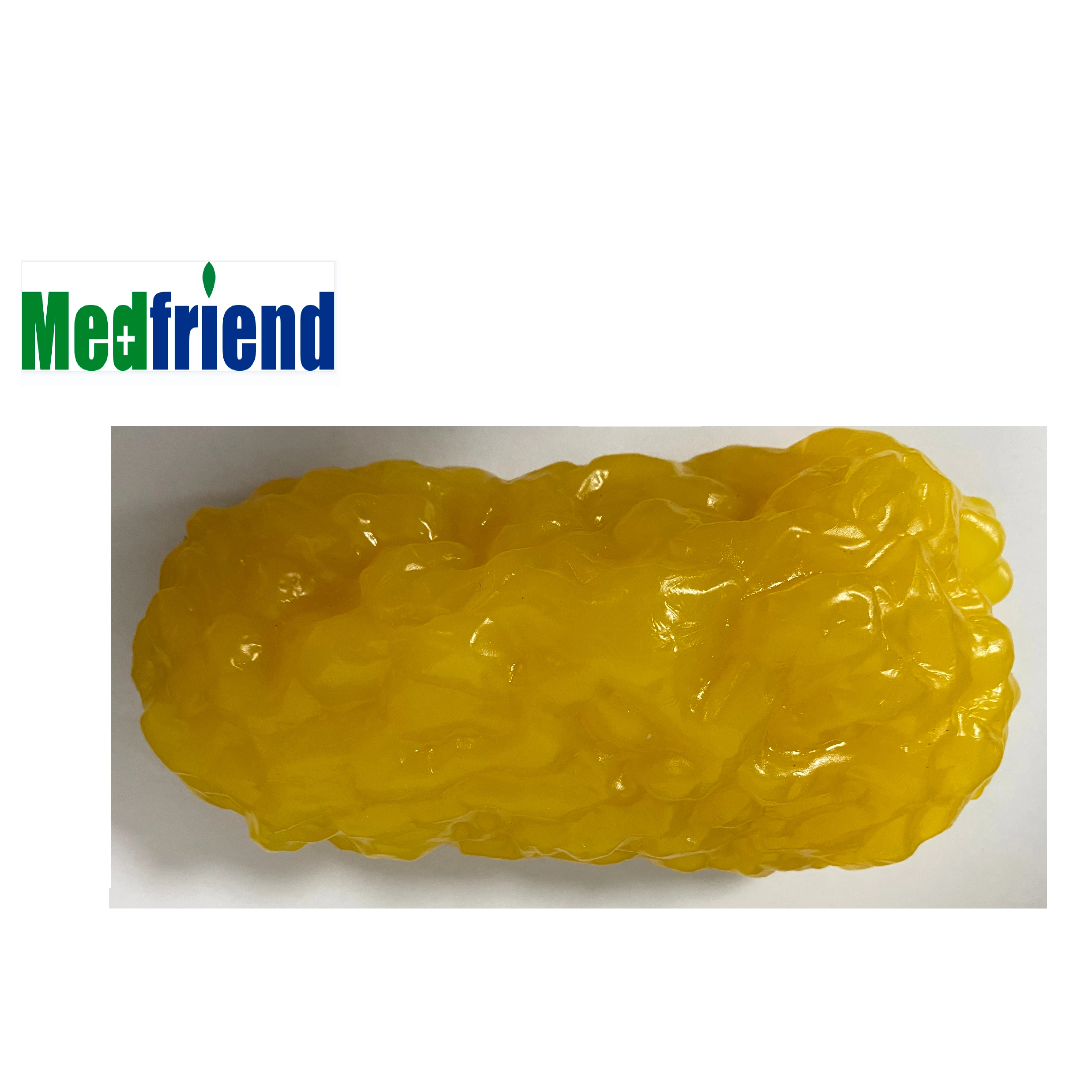 Factory Price Human Body Fat Model - 1 lb