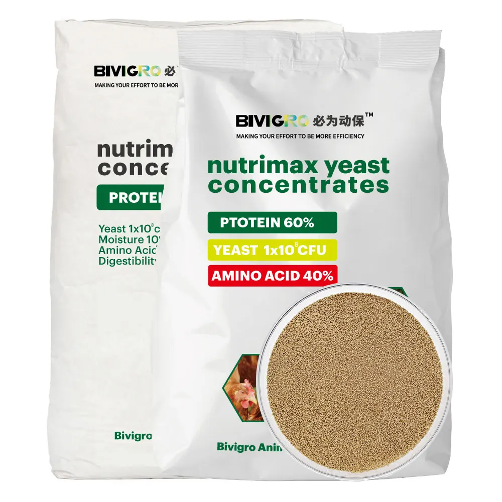 Super Quality Single Cell Protein Feed Additives replace Fish Meal Powder with Probiotic