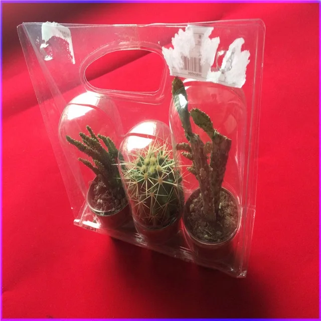 Transparent PVC clamshell cactus plastic blister packaging