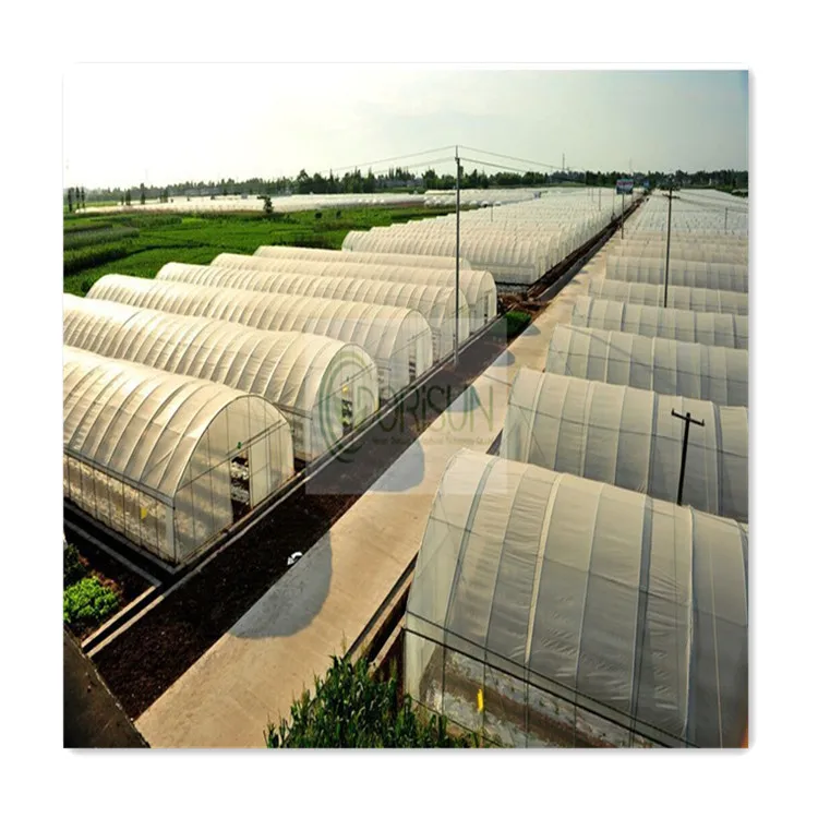 Temperature & Humidity Controls For Greenhouses Greenhouse Climate Control Panel Single Span Greenhouse