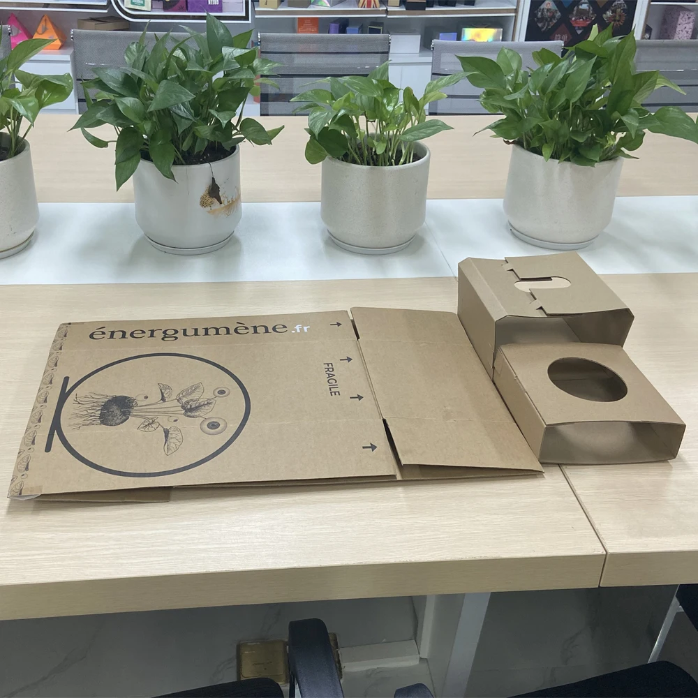 Wholesale Custom Made Tuck up Corrugated Farm Potted Flower Mint Small Pots Plant Packaging Shipping Box