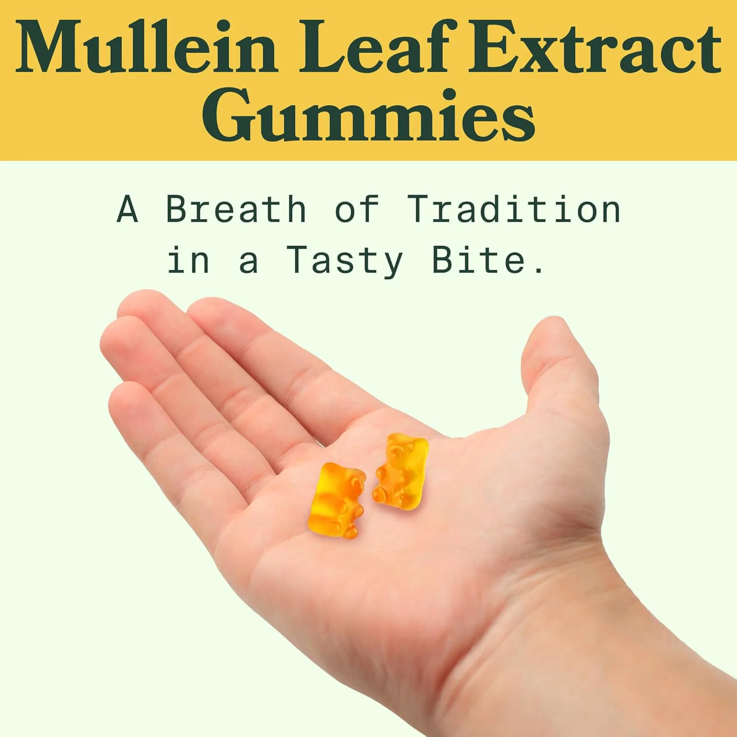 Private Label OEM Mullein Gummies Supplement Clears Congestion,Aids Lung Wellness and Enhance Breathing for Men and Women