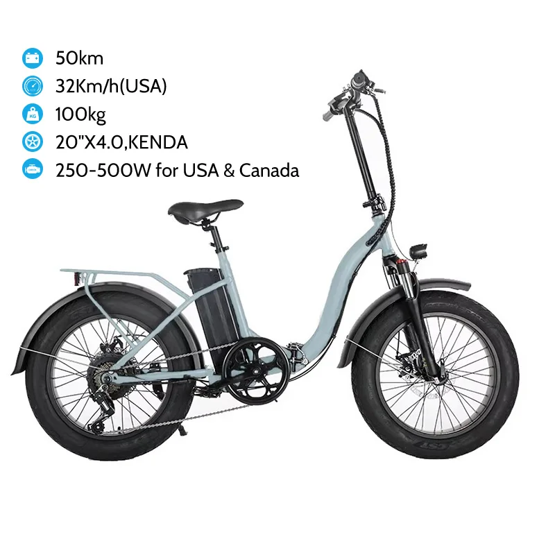 48V 250W Beach Fat Tire Electric Bike 20inch Ebike With Very Cheap Price