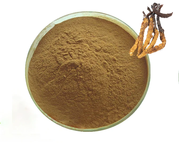 Производители экстракта Кордицепса китайского мицелия