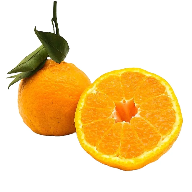 
Most selling delicious citrus fruit 100% maturity class A natural juicy Chinese fresh mandarin orange 