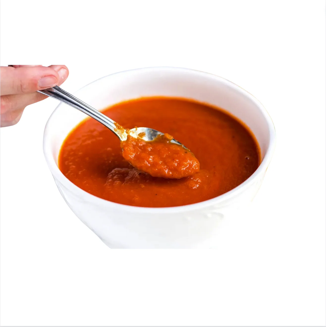 TL18 Private Label Seasoning Manufacturer Wholesale Sale Tomato Hotpot Soup Base Seasoning