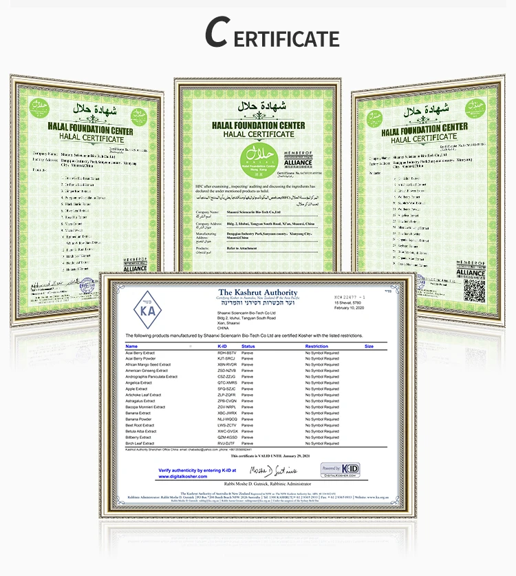 Top Purity Probiotics Powder Bifidobacterium bifidum