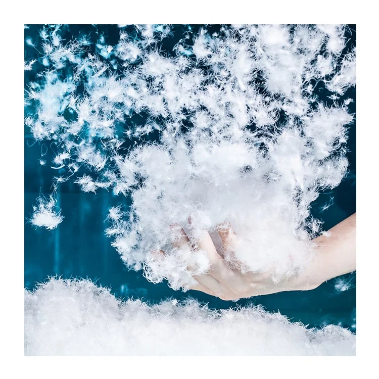 
Professional Manufacturer High Fill Power Material 90% Pure White Goos Down Goose Down Fill 