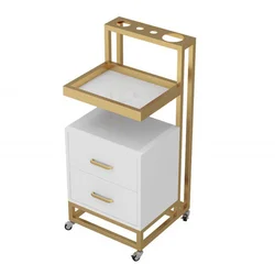 hot sale Factory wholesale cheap beauty modern salon equipment adjustable rolling trolley cart for beauty machine