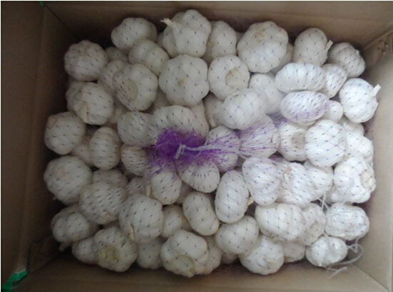 Чистый белый свежий чеснок китайский чеснок