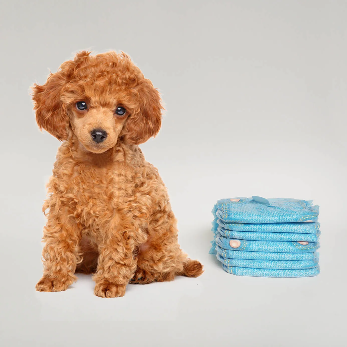 Petfine Denim Pattern High Absorbency Urinary Incontinence Dog Diapers Neuter For English Mastiff