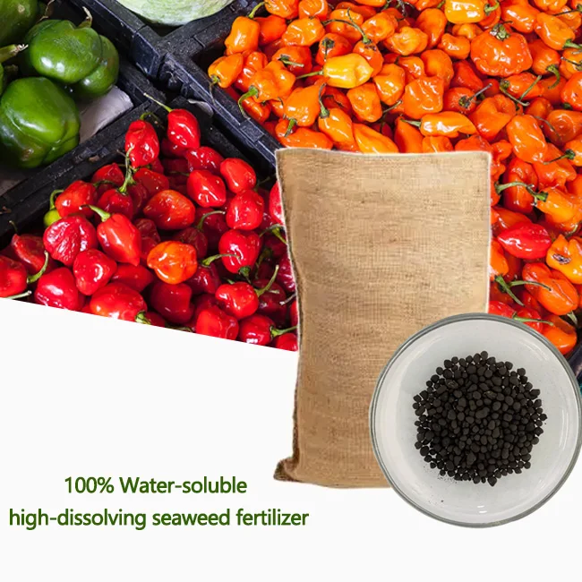 Agricultural Organic Seaweed Granular Fertilizer16-0-1 Seaweed Organic Granular Fertilizer