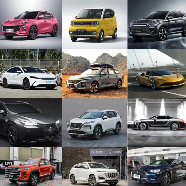 One stop solution V2G electric car China Auto Electric Car electric vehicle smart electric suv pickup bus China High Speed