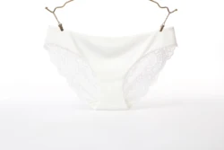 Free Sample Cheap Wholesale Underwear See Through Lingerie Sexy Lace Seamless Women Winter Panties