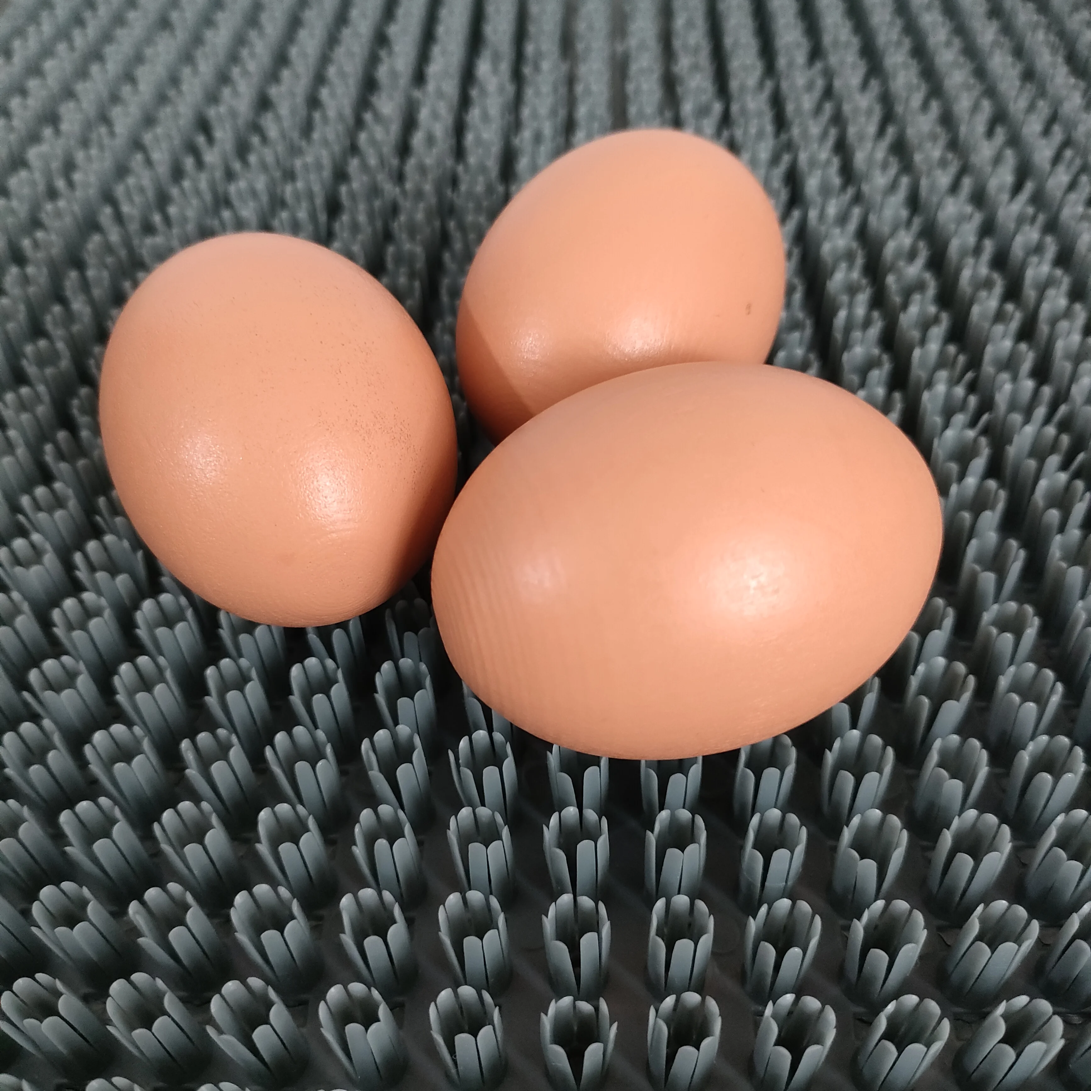 LMA-13 Wooden Fakes Faux Fake-Eggs Children Play Kitchen Game Food Toy Log Color Easter Eggs