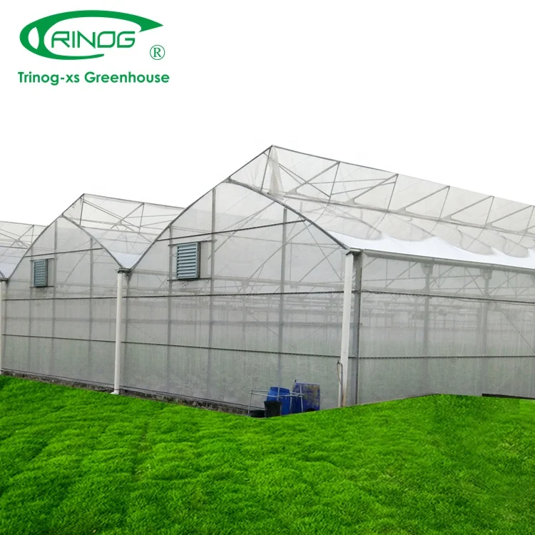 Trinog Greenhouse gear motor drive butterfly roof vent Multi-span Greenhouses for tomato nursery farm