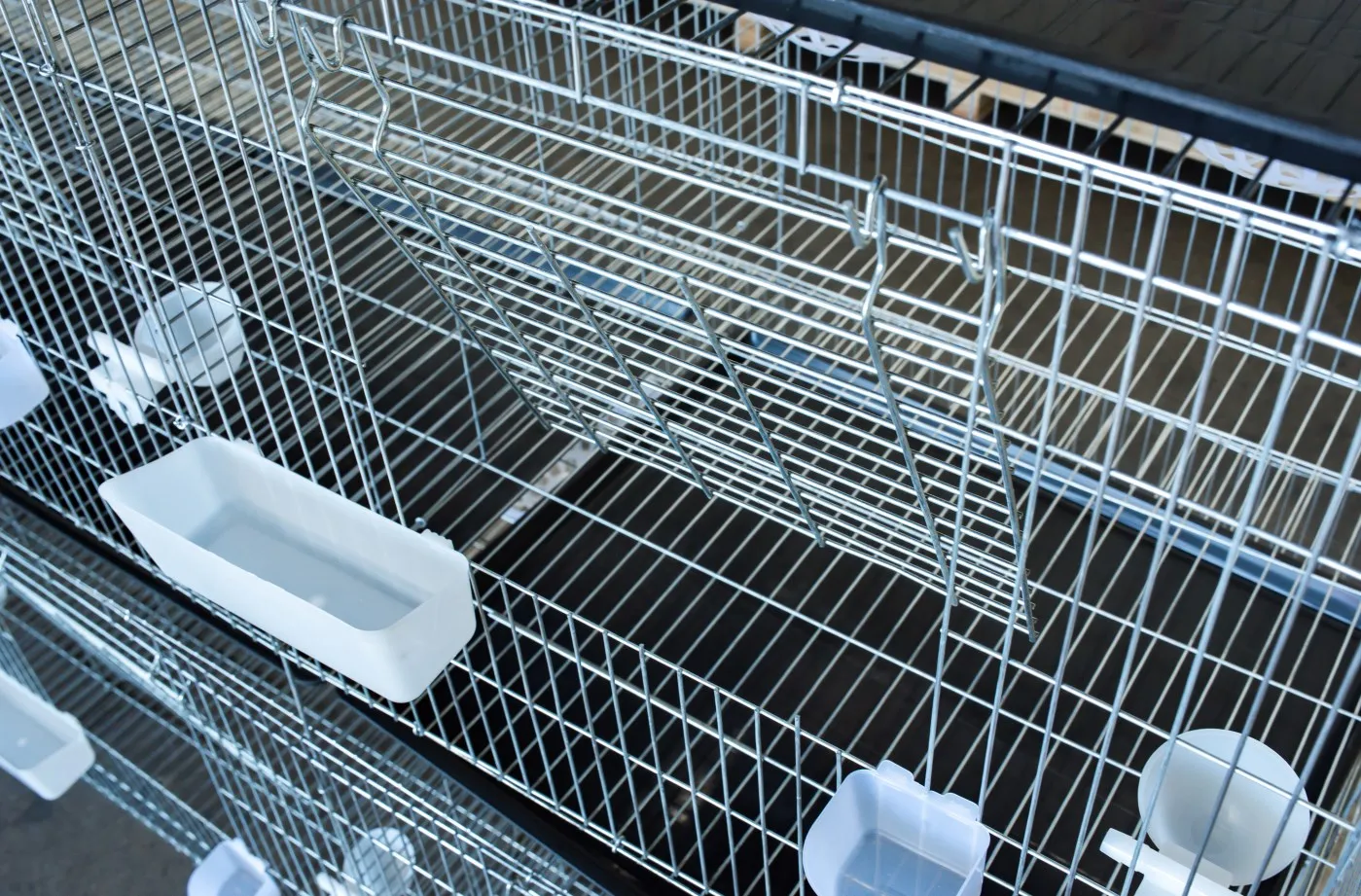 Trade Assurance Pigeon Breeding Boxes for Sale