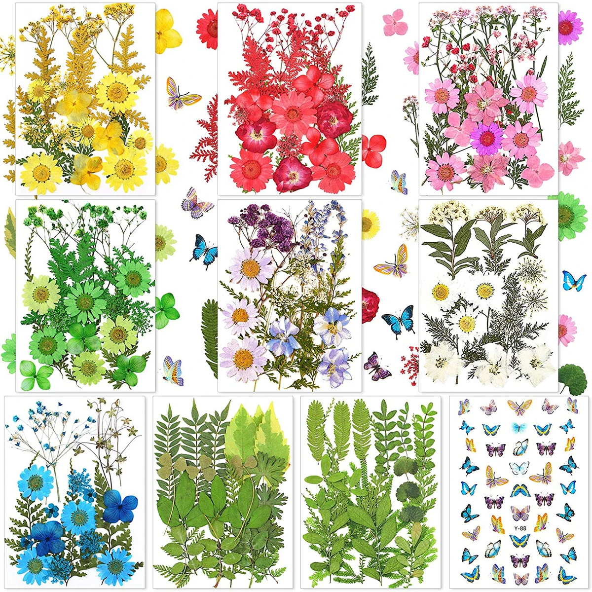 Real Dried Flowers Leaves and Butterfly Stickers Set Multiple Pressed Dry Flowers Colorful Natural Daisies Flowers