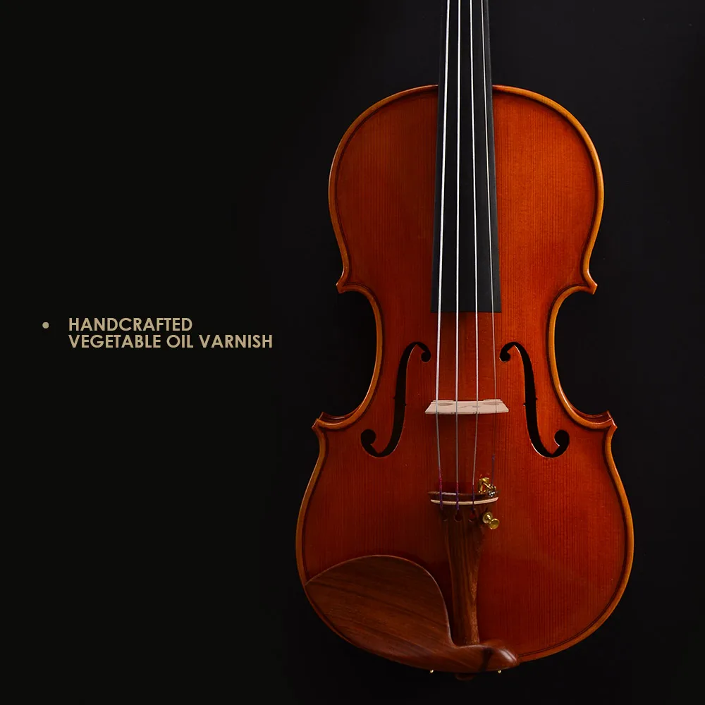 CHRISTINA S100A Famous Brand Violin with Spruce Face and Brazil Wood Bow Performance Level with Free Case & Strings