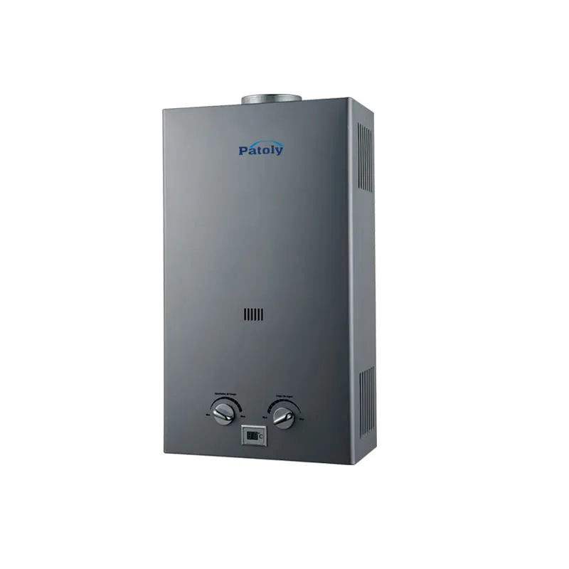 Professional manufacturer 6L 8L 10L 12L household instant gas water heater flue type lpg gas boiler tankless domestic gas geyser