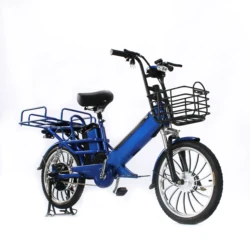 Быстрая Доставка еды на большие расстояния до 100 км, Электрический Грузовой электровелосипед с двойной батареей 24 Ач для всей семьи