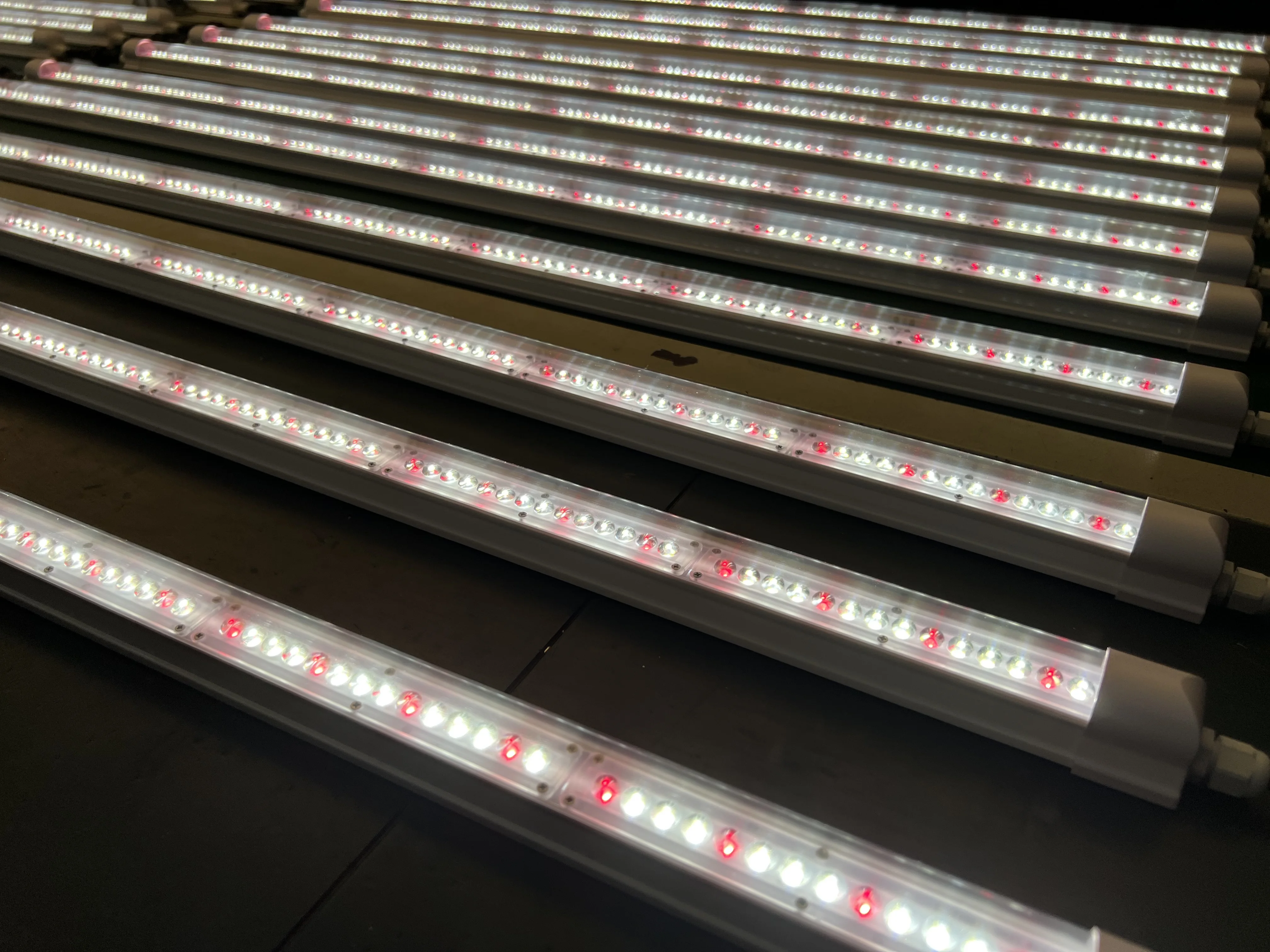 Chinese Manufacturer Wholesale T8 Greenhouse Supplemental Lighting