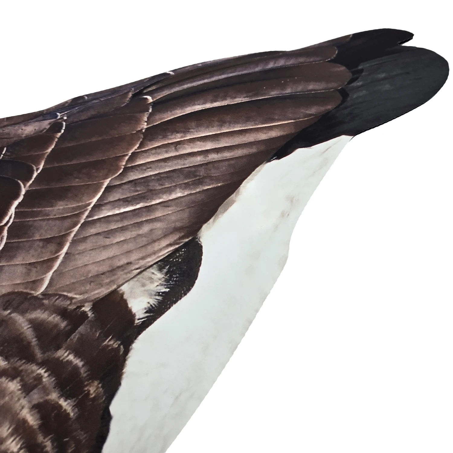 OEM Plastic Lifelike Anti-reflective PP Silhouette Goose Hunting Decoys with Stake