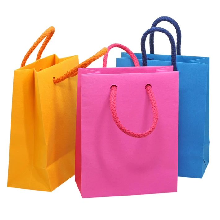 Custom Logo Printed Matt Finish Paper Shopping Bag With Rope Handle