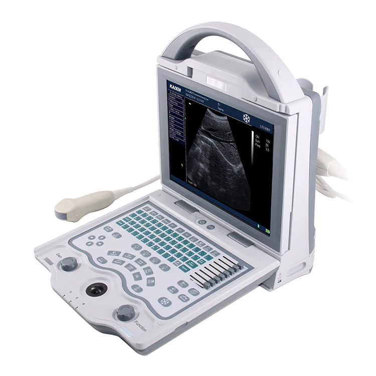 Full digital B mode ultrasonic diagnostic instruments  KX5600 VET USE veterinary ultrasound