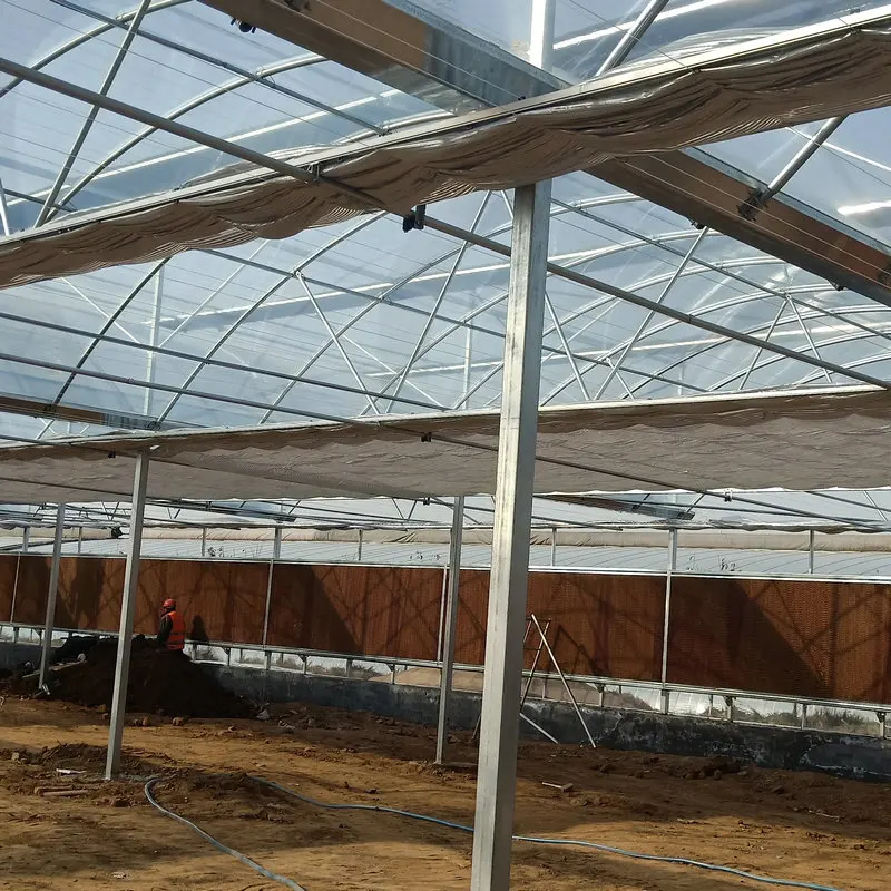high quality big span garden multispan greenhouses for sale made in China