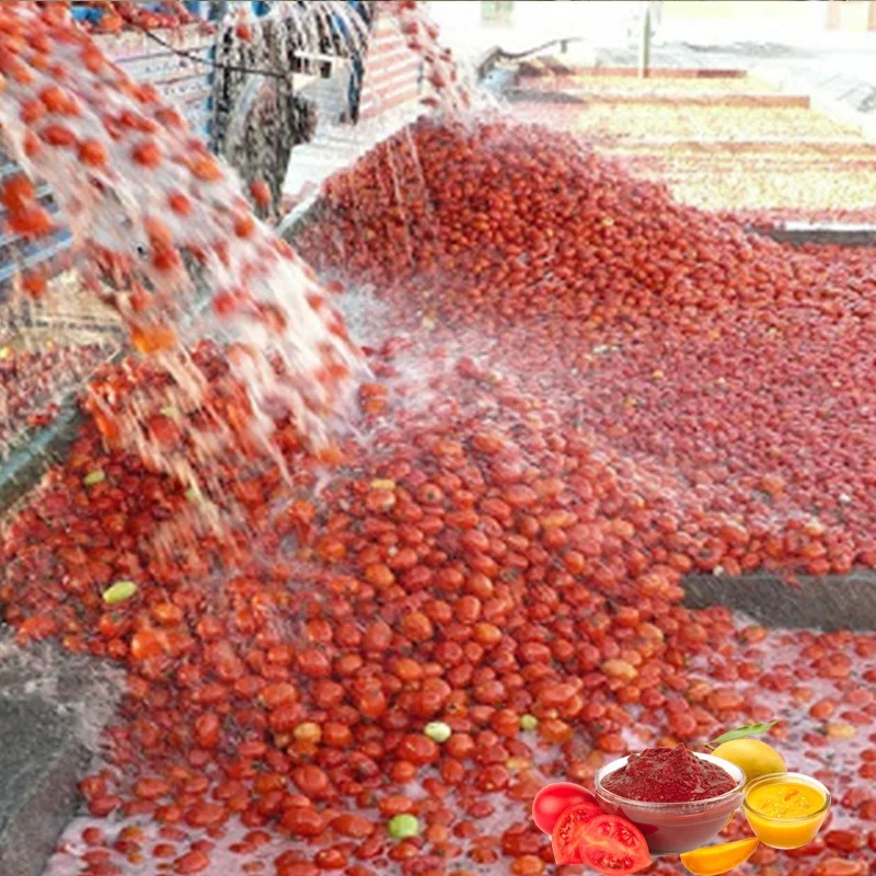 Falling film evaporator tomato forced circulation evaporator paste concentrating machine