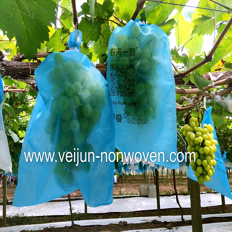 Supplies Wholesale Fruit Growing Protection Non Woven Mango/Grape/Banana Bag