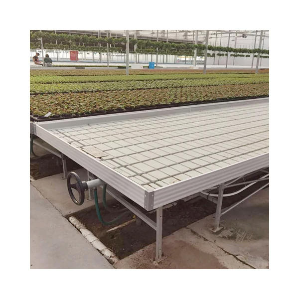 Factory Supply Greenhouse Rolling Benches Flood Tray Hydroponic Ebb and Flow Table For Green House Vegetable