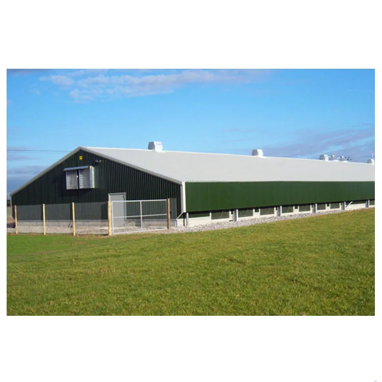 Light Steel Poultry Farming Chicken Sandwich Panel Door or Rolling Door Steel Frame Structure Layer Poultry Farming PVC Window
