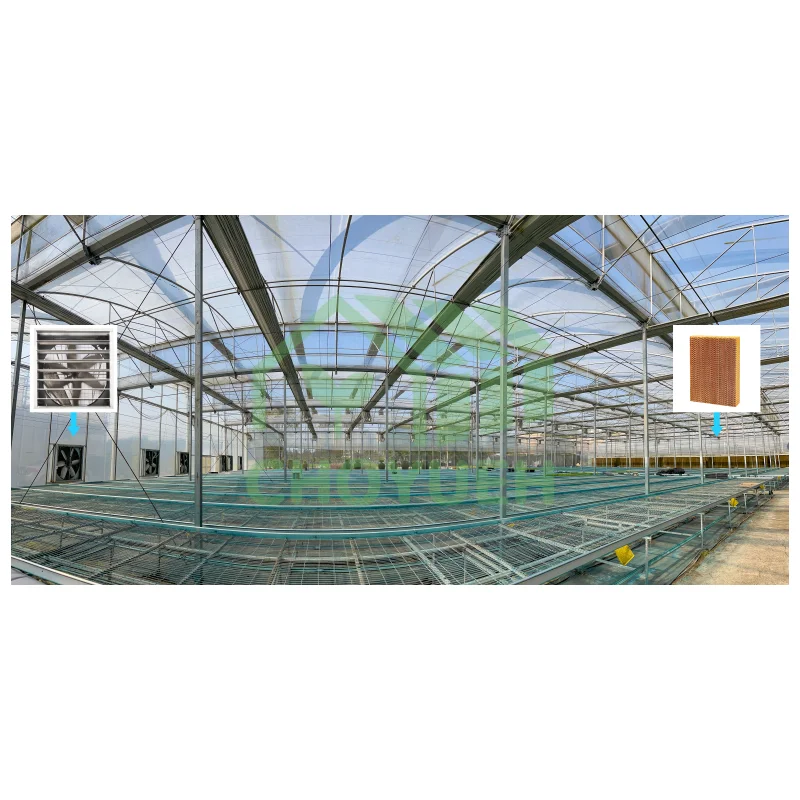 CHOYUEH 550W Customized 36 inch 50 inch poultry farm fan cooling ventilation exhaust fans and pads with excellent cooling system