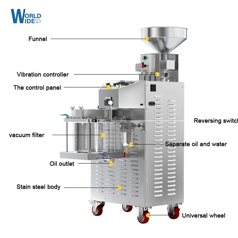20kg/h Capacity Heat and Cold home oil press machine pinenut, almond soy bean olive oil press machine high oil extraction rate