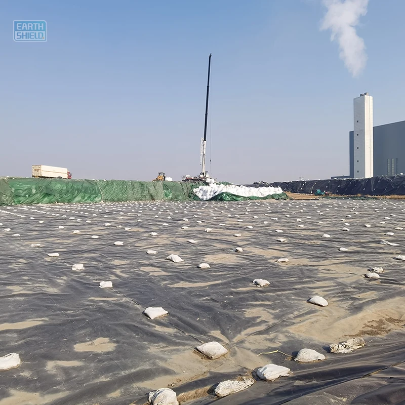 Hdpe Geomembrane for Mining Plastic Sheet Membrane for Mining Industry