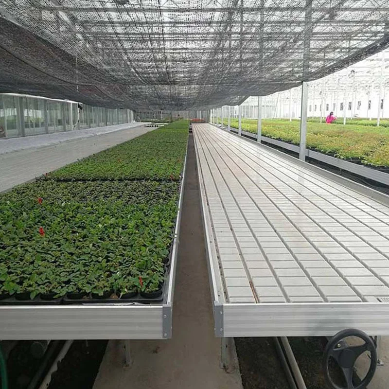 Ebb and Flow Flood Tray Hydroponic System ebb/ flow rolling table/bench