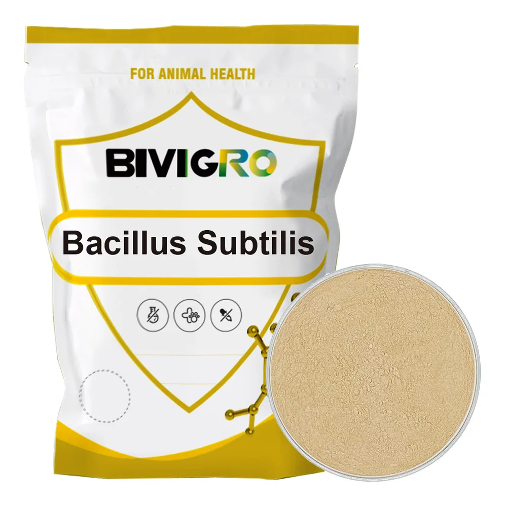Manufacturer Aquatic Probiotics Bacillus Subtilis For Fish Shrimp Pond Water Treatment