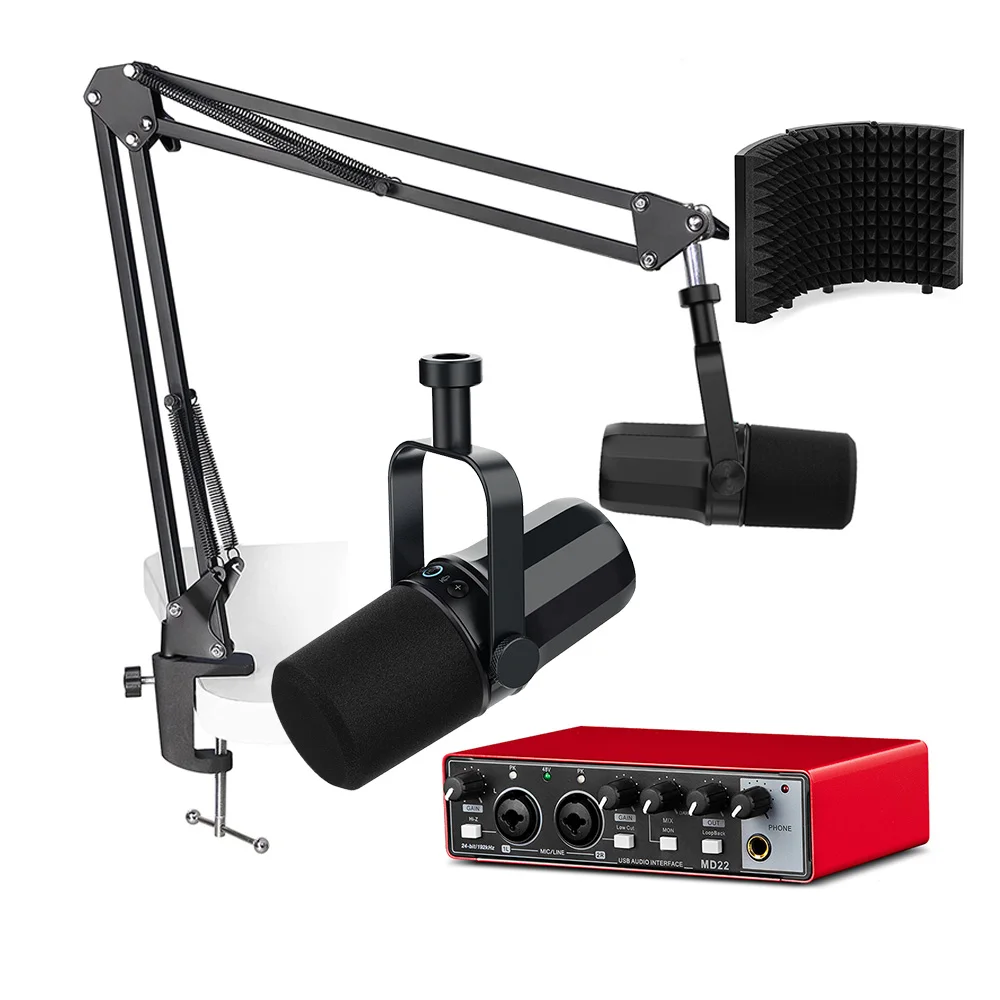 2023 Cheap Studio Recording Mike Music Multifunctional Live Sound Card & ZTT20B Micro Microphone S