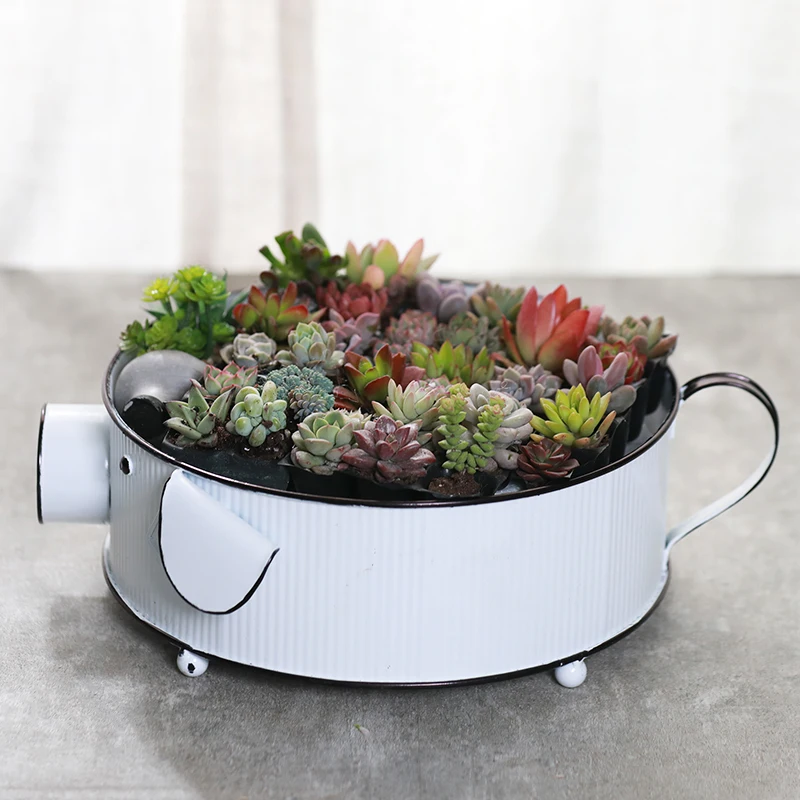 Cute Metal Pig Animal Planter For Flower Succulent Planter Decorative Greenery Planter Galvanized Garden Flower Pot