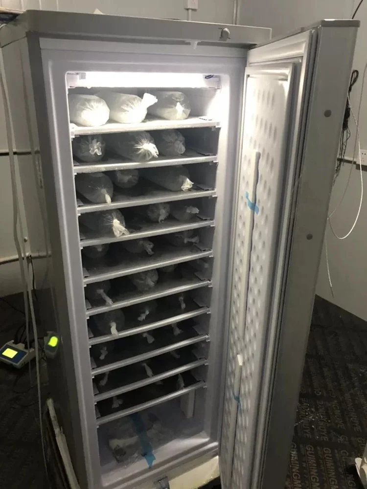 11 layers 220V 198 liters upright freezer per day 70KG solar ice block machine