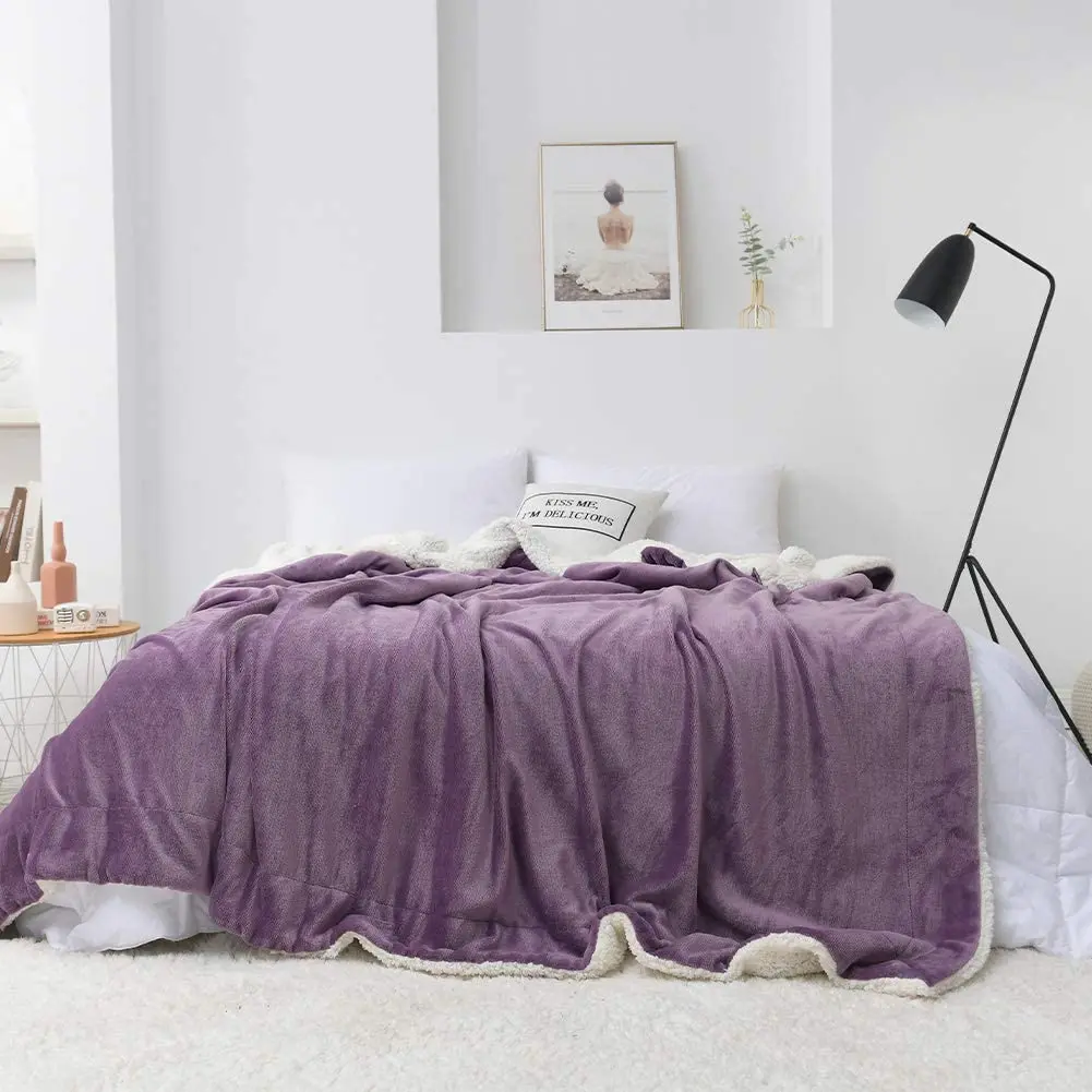 Modern Quality Plain Flannel Double Blankets & Throws Lamb Down Ultra-Soft Fabric Blankets For Winter