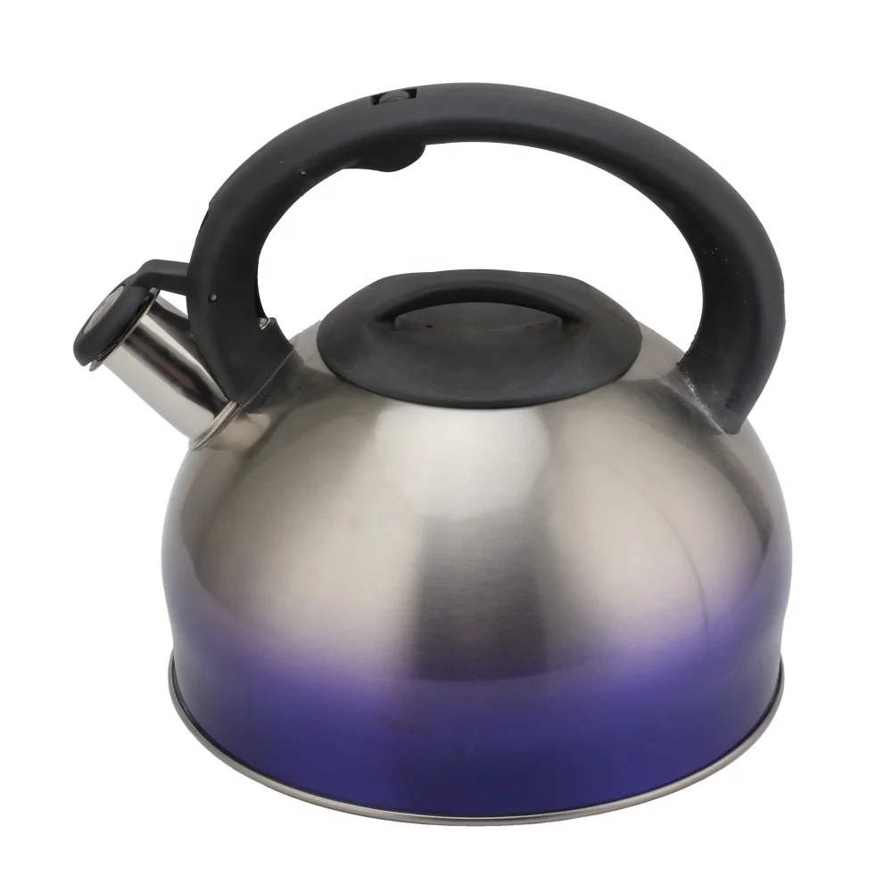 Stainless Steel Tea Kettle Small Tea Pots 2.6 Quart, Whistling Tea Kettle for Stove Top